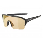 Alpina Ram HR HVLM+ okulary sportowe black/silver